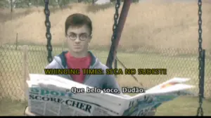Harry Potter and the Order of the Phoenix PTBR PS2 (1)
