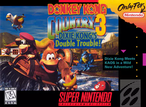 Donkey Kong Country 3 PTBR