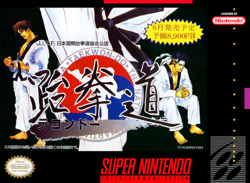 Taekwon-Do PTBR SNES